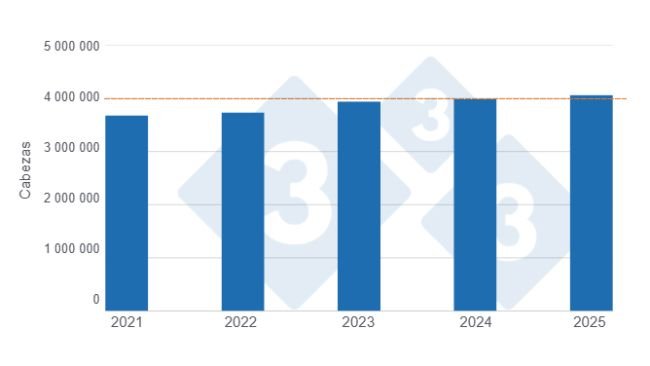 Gráfico 1: Abate de suínos no primeiro semestre dos últimos cinco anos. 
Elaborado por Departamento de Economia e Sustentabilidade de 333 América Latina com dados da Secretaría de Agricultura, Ganadería y Pesca del Ministerio de Economía de Argentina