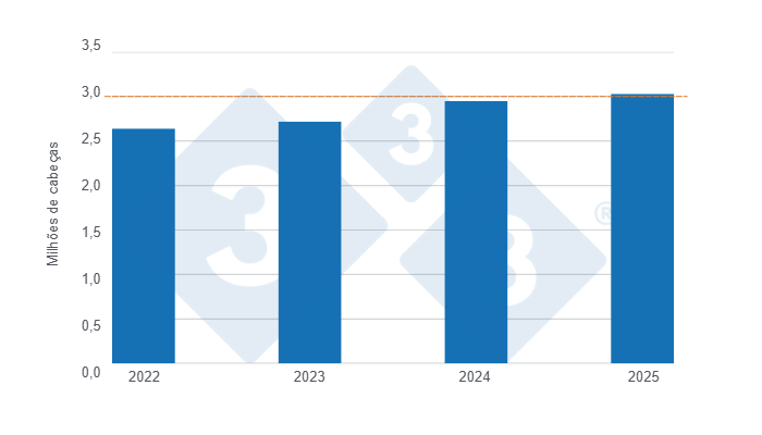 Gráfico 1: Abate de suínos no primeiro semestre dos últimos quatro anos.

Elaborado pelo Departamento de Economia e Sustentabilidade de 333 América Latina com dados DANE.