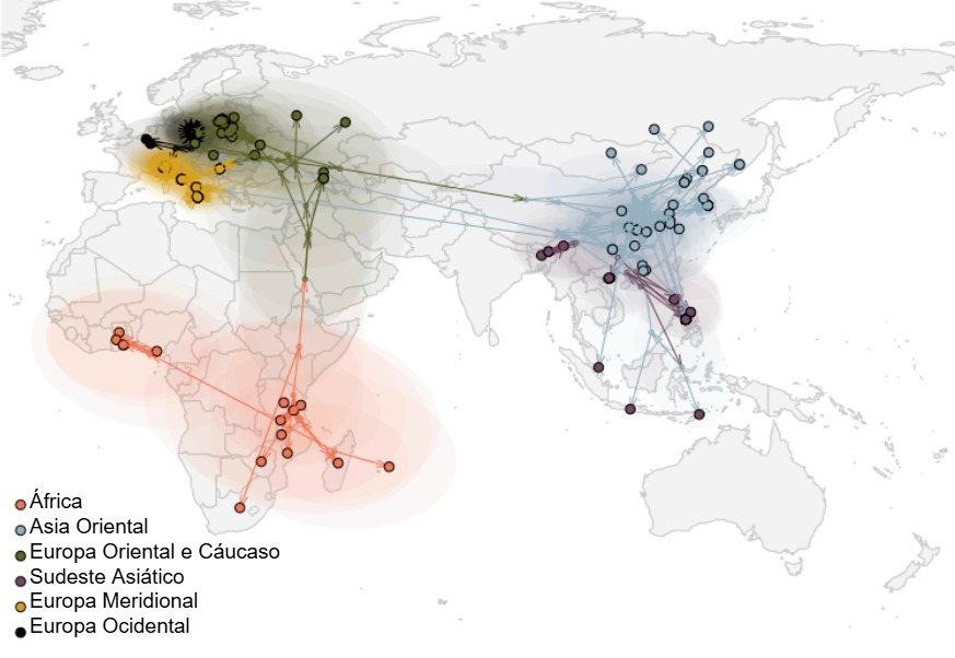 <p>Figura 2. Disseminação global do vírus da PSA (Rossi et al. bioRxiv 2025)</p>