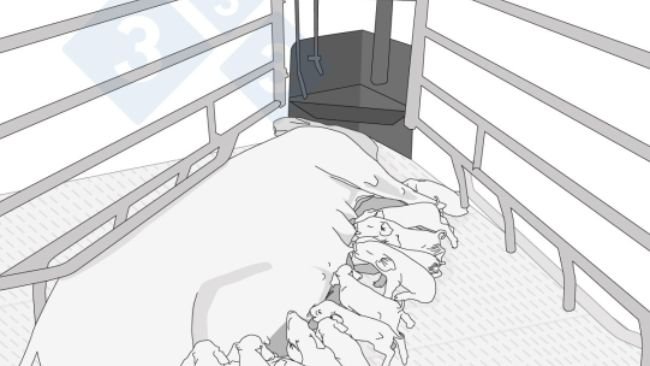 Infografia sobre alimentação de precisão