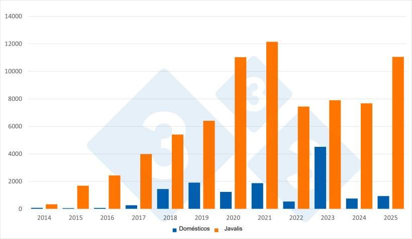 Número total de focos de PSA em javalis e porcos domésticos na Europa (com excepção da Rússia). Fonte: 333 a partir de dados do ADIS.