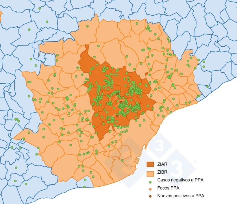 Localiza&ccedil;&atilde;o dos 29 focos em javalis e dos javalis capturados ou encontrados mortos que testaram negativo na Catalunha (produ&ccedil;&atilde;o pr&oacute;pria com base em dados do Minist&eacute;rio da Agricultura, Pescas e Alimenta&ccedil;&atilde;o).

Localizaci&oacute;n de los 29 focos en jabal&iacute;es silvestres y de los jabal&iacute;es capturados o hallados muertos negativos detectados en Catalu&ntilde;a (elaboraci&oacute;n propia a partir de datos del&nbsp;MAPA).
