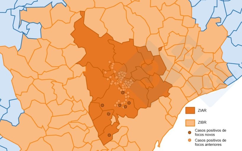 Localizaci&oacute;n detallada de los 162&nbsp;casos de jabal&iacute;es silvestres detectados en la zona infectada. C&iacute;rculo claro: casos de focos anteriores. C&iacute;rculo oscuro: nuevos casos notificados (Fuente: Departament d&rsquo;Agricultura, Ramaderia, Pesca i Alimentaci&oacute;).

