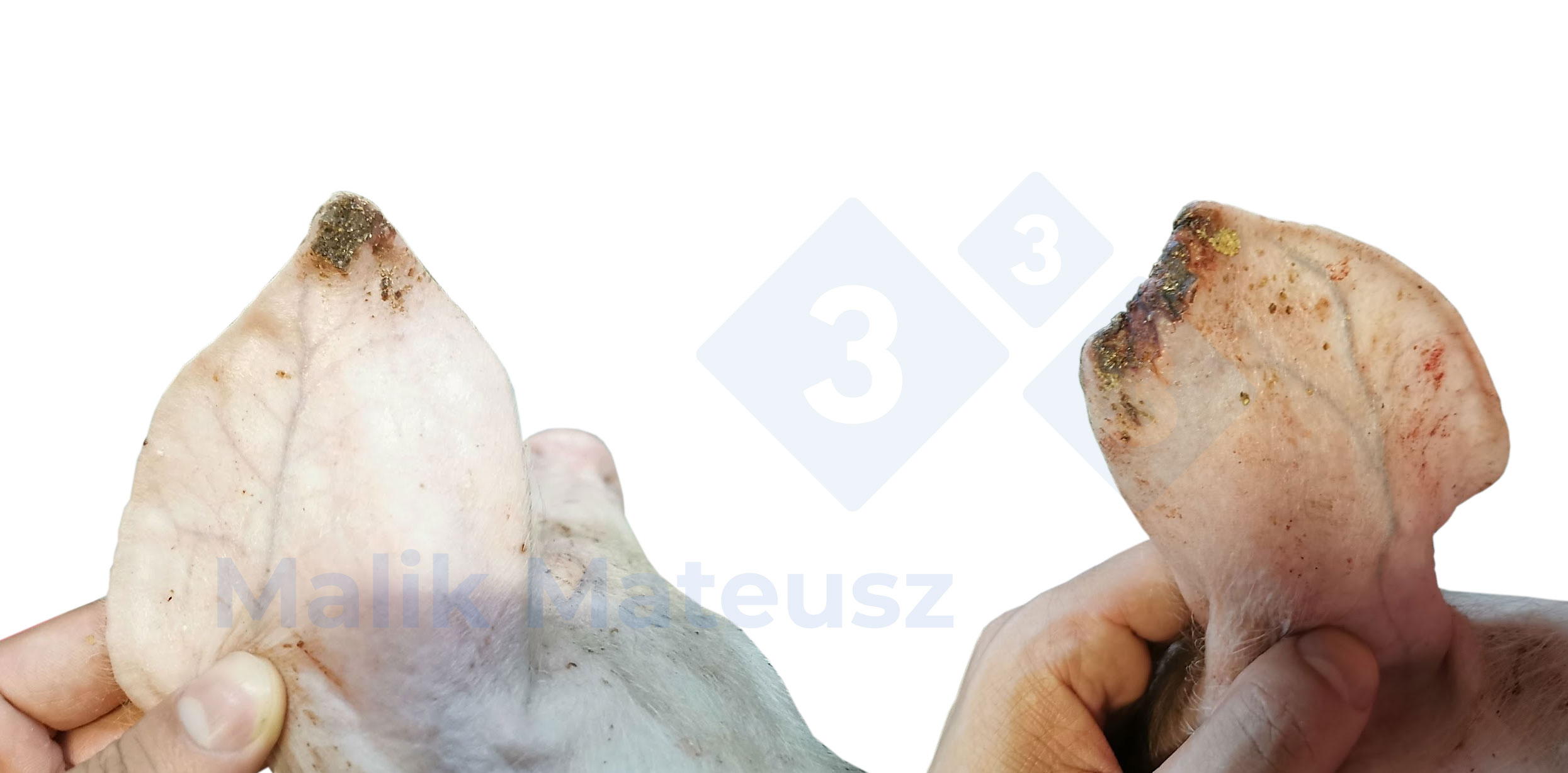 <p>Lesiones leves y moderadas</p>