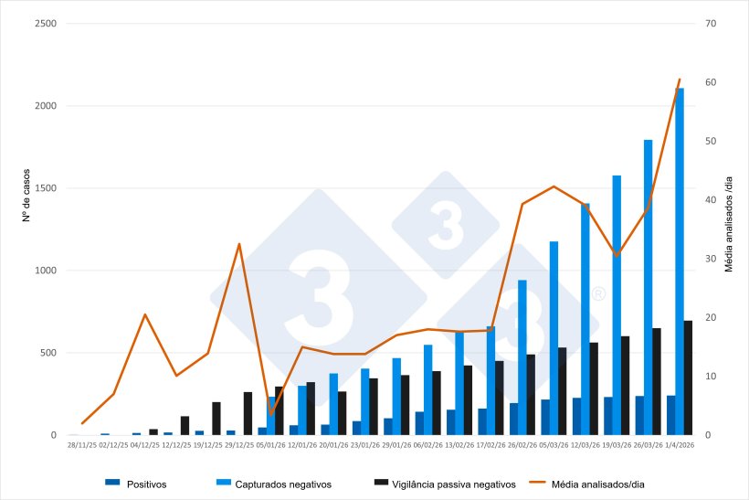 Evolu&ccedil;&atilde;o do surto de PSA na Catalunha, dados acumulados, excepto o n&uacute;mero m&eacute;dio de animais analisados/dia. Fonte: 333 com base em atualiza&ccedil;&otilde;es emitidas pelo MAPA.
