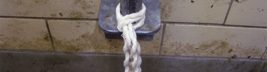 Cuerda de algodón para toma de muestras