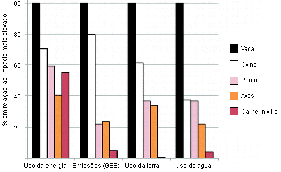 impacto no meio ambiente da produção de carne in vitr