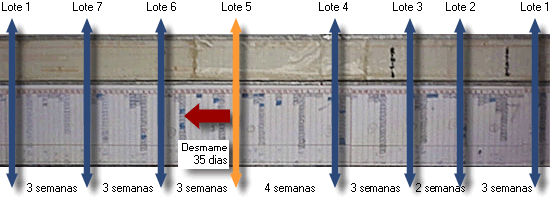 planning 3 semanas transição3