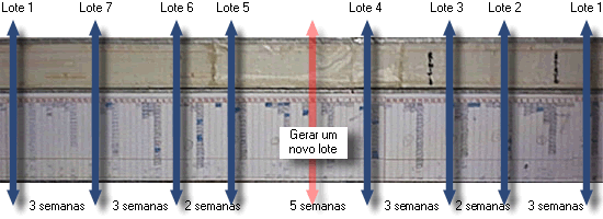 planning 3 semanas transição4