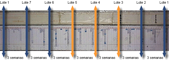 planning 3 semanas transição