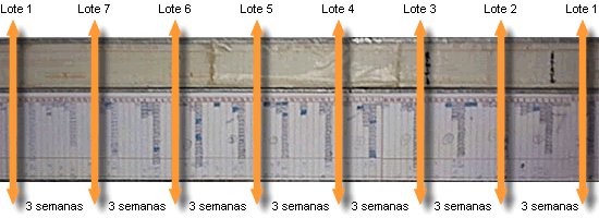 planning 3 semanas