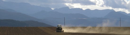 UE: previsión de la producción de cereales hasta 2013