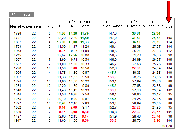 Ranking de resultados de porcas