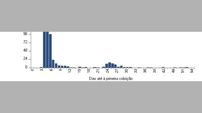 20101124_dias_primeira_cobrição