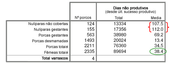 dias não produtivos