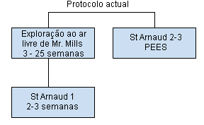 Protocolo de adaptação de primíparas