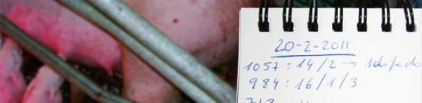 Monitorización de partos