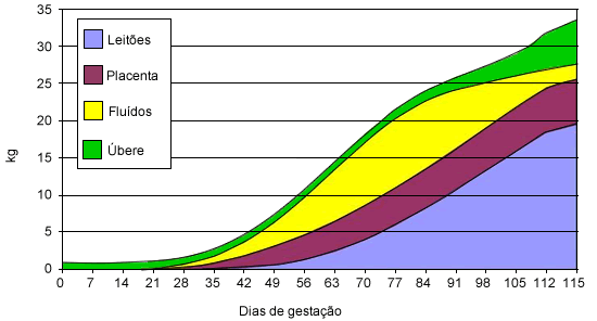 Evolução do peso dos leitões, fluidos das placentas e úbere durante a gestação.