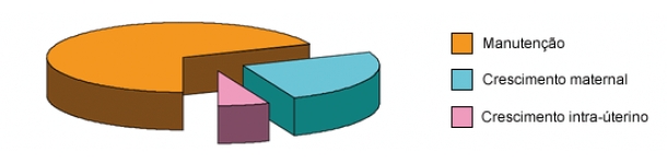 Necessidades em energia na gestação para manutenção, crescimento maternal e crescimento intra-uterino.