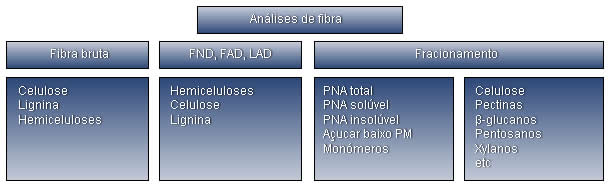 Resumo das diferentes técnicas analíticas e fracções da fibra