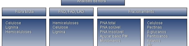 Resumo das diferentes técnicas analíticas e fracções da fibra