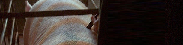 Quando devemos realizar a recolha de dados com o Renco?