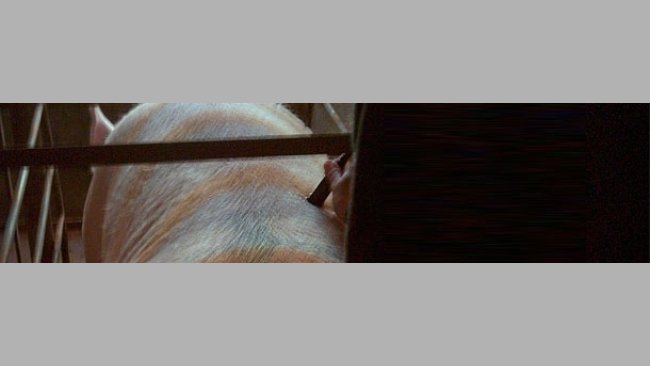 Quando devemos realizar a recolha de dados com o Renco?