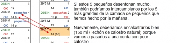 ¿Cómo igualamos camadas tras el parto? (IV) Precauciones especiales