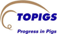 logo topigs