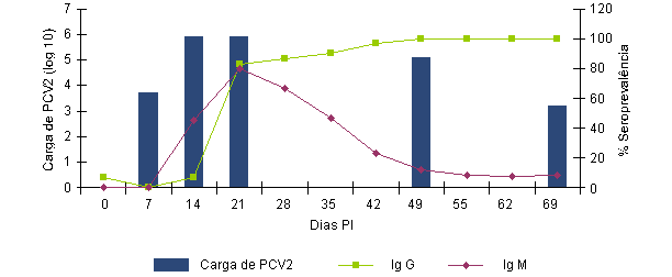 A relação entre o nível (ou % de animais com resposta positiva) de IgM e IgG é indicativo do momento em que se iniciou a infecção ou circulação vírica