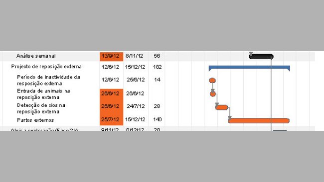 Exemplo de cronograma para a eliminação do PRRS mediante LCH.