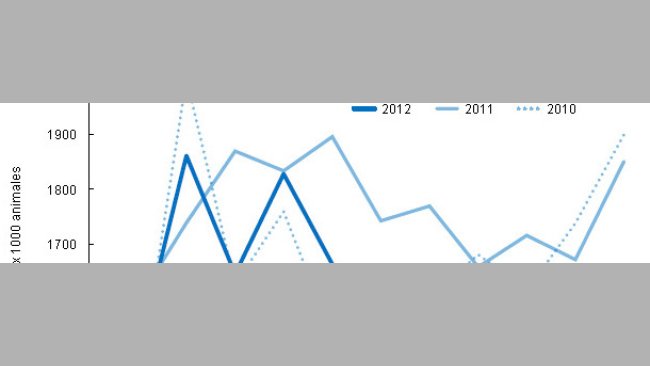 Sacrificios en Polonia 2010-2012