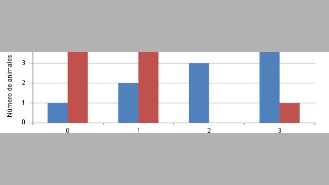 Distribuição da gravidade das lesões na cartilagem (escala de 0 a 3) de animais controlo ou com uma dieta com Cu/Mn ligados a aminoácidos.