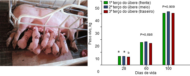 Evolución del PV 