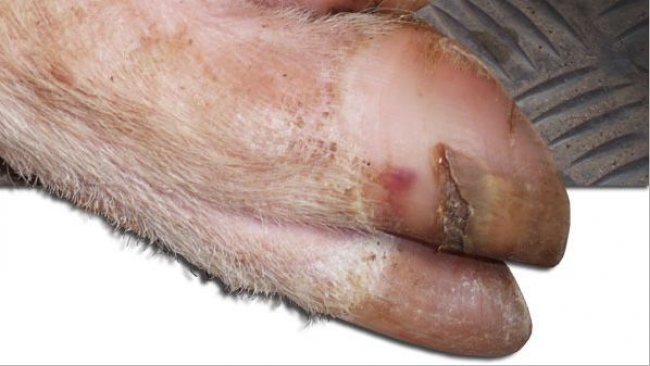 Grietas en la pared lateral