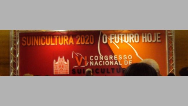 VI Congresso Nacional de Suinicultura 15