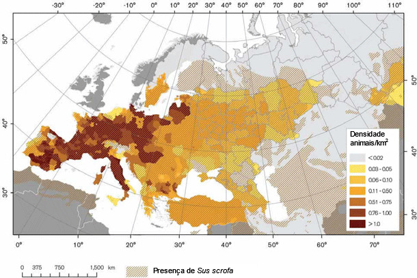 Densidad de jabalís en Europa