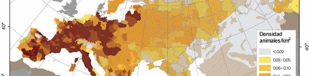 Densidad de jabalís en Europa