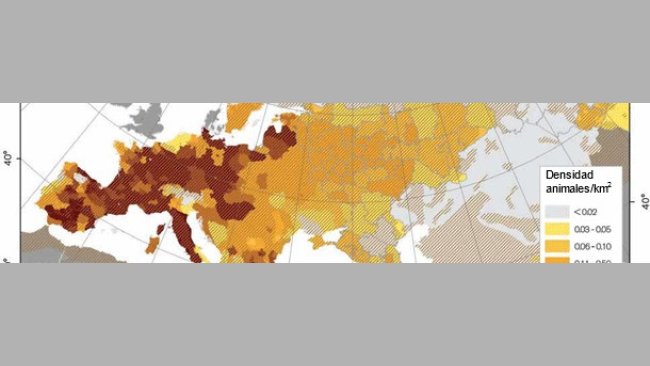 Densidad de jabalís en Europa