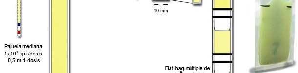 Representación esquemática de las principales diferencias entre las mini-pajuelas plásticas de 0,25 ml, con Flat-bags simples (5 ml) y múltiples  (de 0,5-0,7 ml)