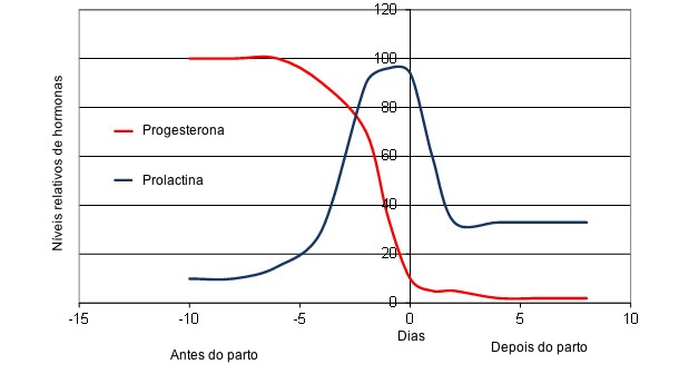 Alterações hormonais da porca em torno do parto