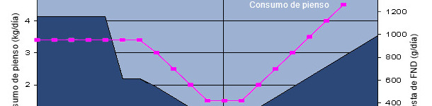 Ingestão de fibra (FND) em torno do parto
