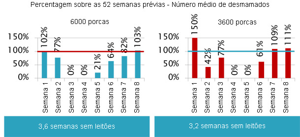 Tras la infección de las cerdas se infectaron todos los lechones