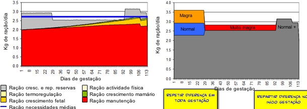 Exemplo de uma simulação (OptifeedModel)