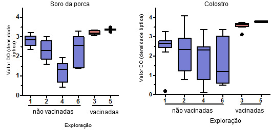 Niveles de anticuerpos IgG específicos para PCV2 medidos mediante ELISA en suero y calostro de cerdas