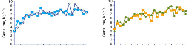 Evolução do consumo médio diário das porcas segundo o lote no momento da transição alimentar.