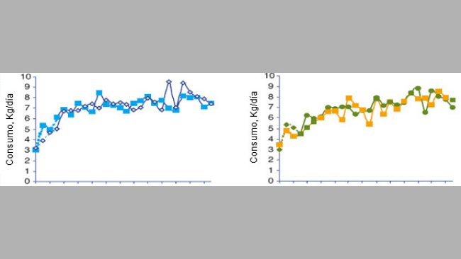 Evolução do consumo médio diário das porcas segundo o lote no momento da transição alimentar.