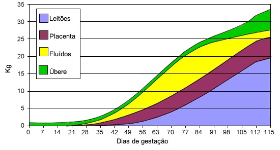 Evolução do peso dos leitões, fluídos de placentas e úbere durante a gestação.