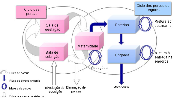 Representación del modelo de dinámica de oblación en cerdos