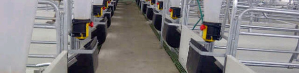 Queda lenta com sistema de ativação